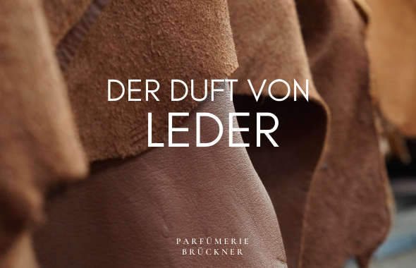Leder Düfte