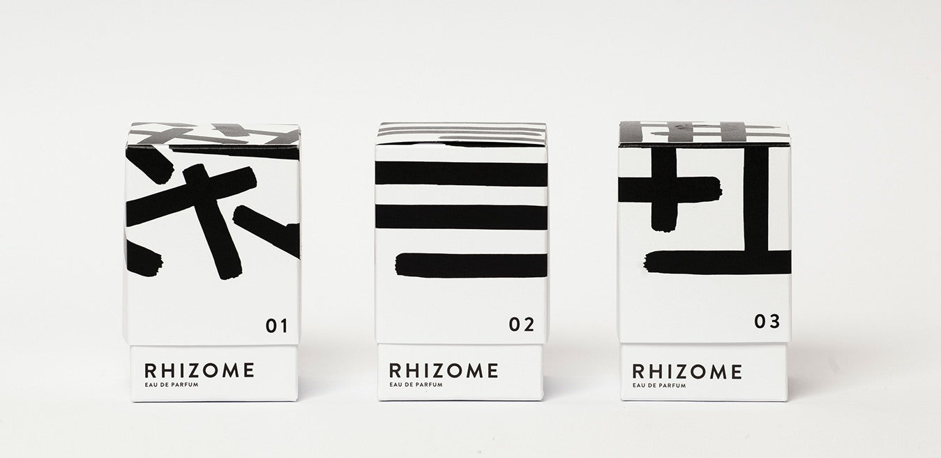 Rhizome