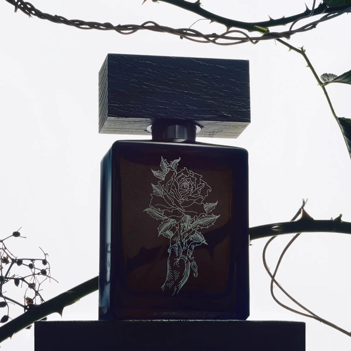 Acrasia Eau de Parfum