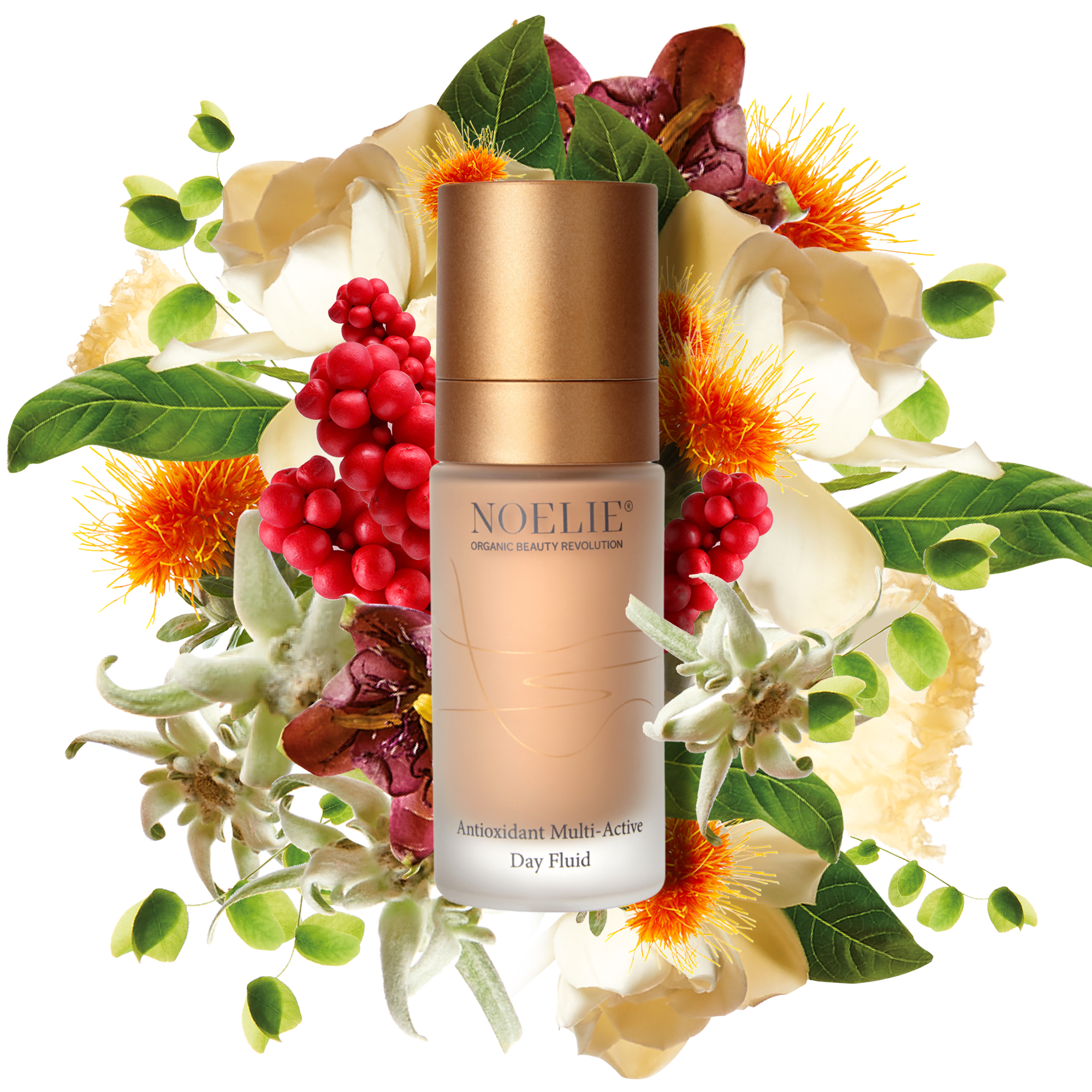 Antioxidant Multi-Active Day Fluid