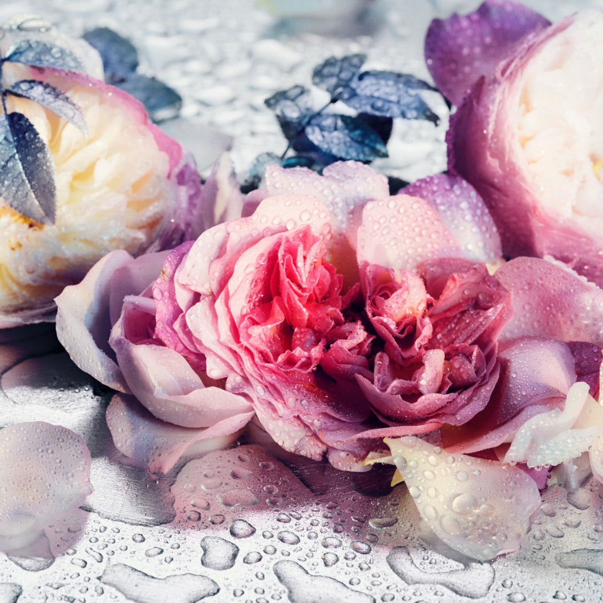 Eladaria Eau de Parfum