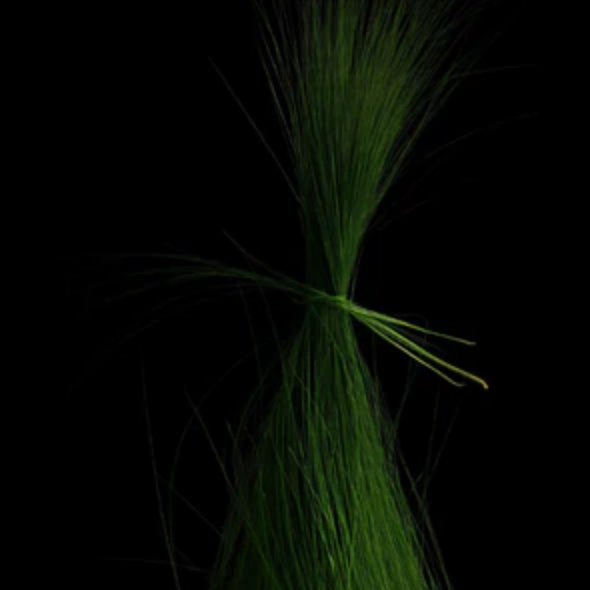 Solistis Parfum