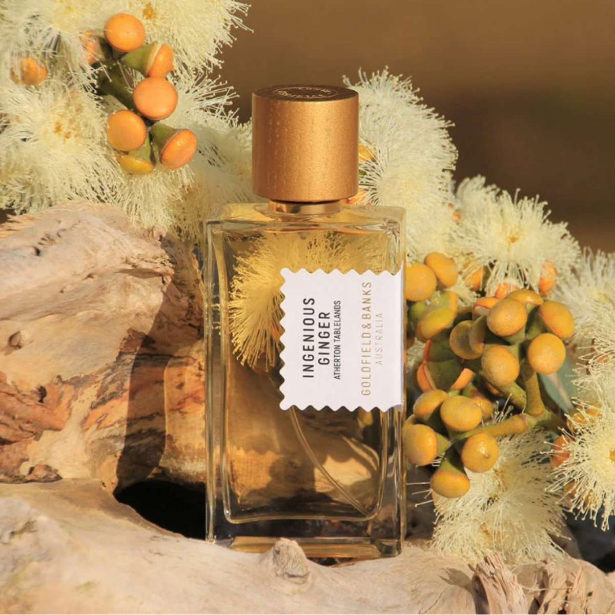 Ingenious Ginger Eau de Parfum
