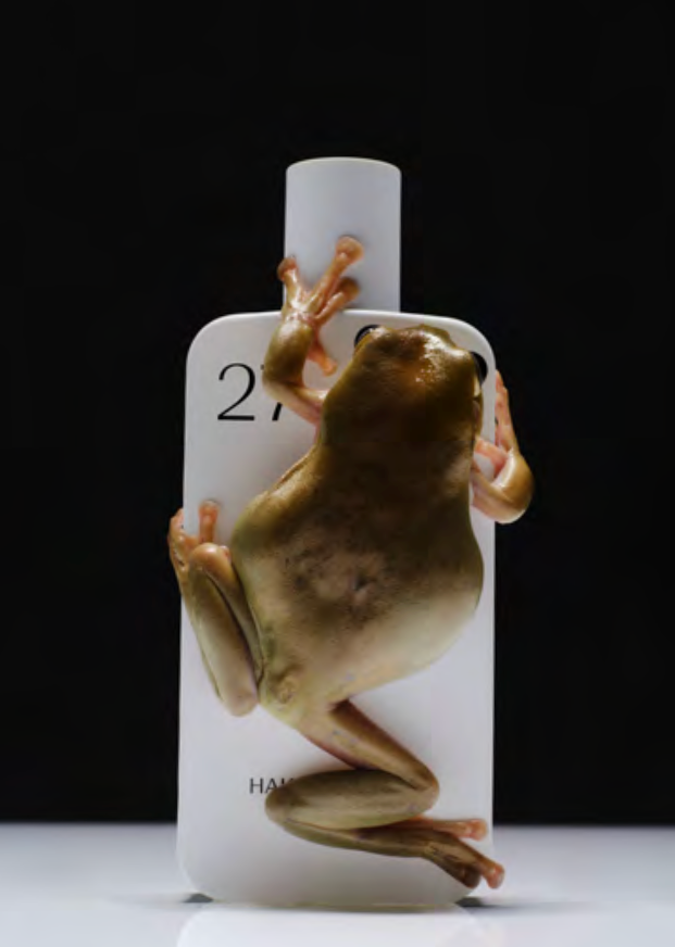 Hakuna Matata Eau de Parfum/15.Mai!