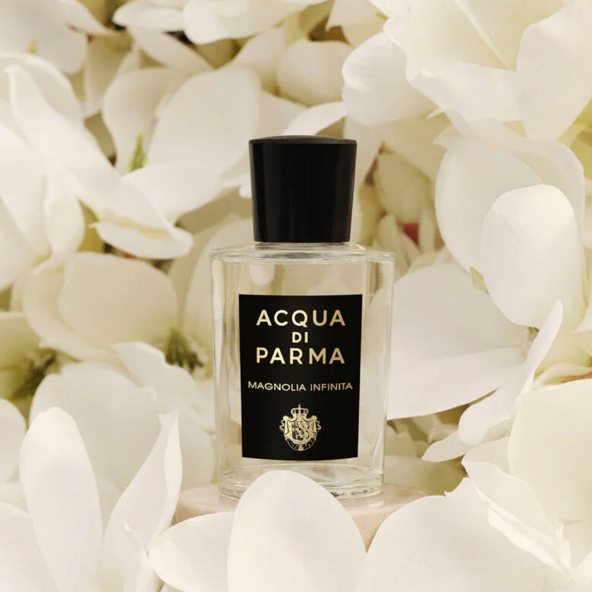 Magnolia Infinita Eau de Parfum