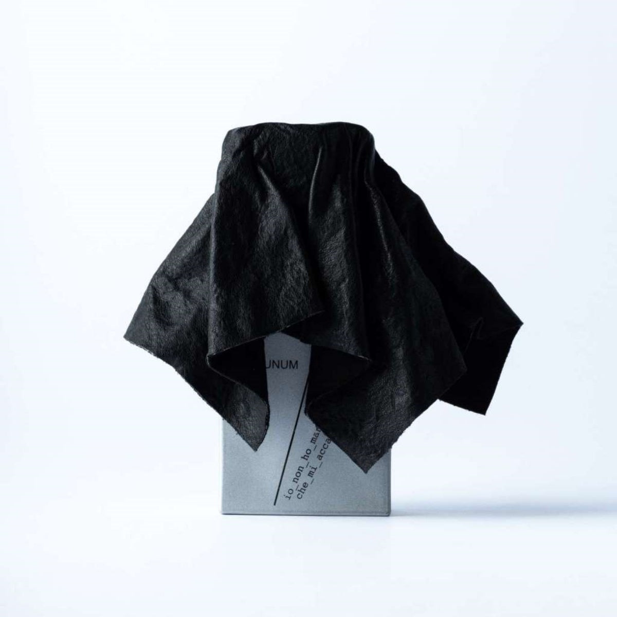 io_non_ho_mani_che_mi_accarezzino_il_volto Parfum