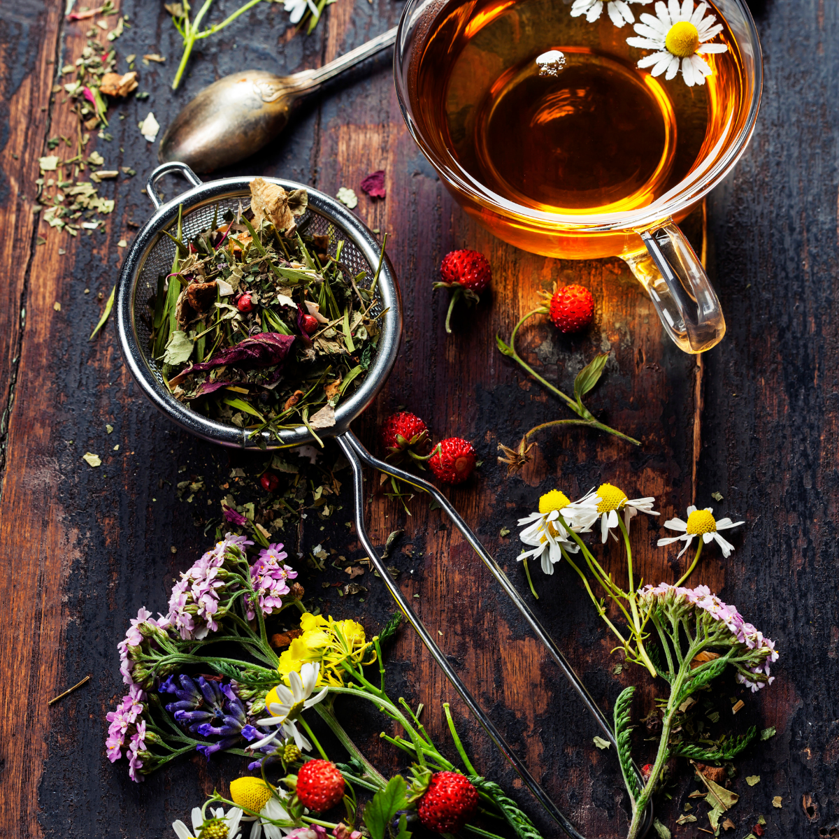 Darjeeling Princeton®