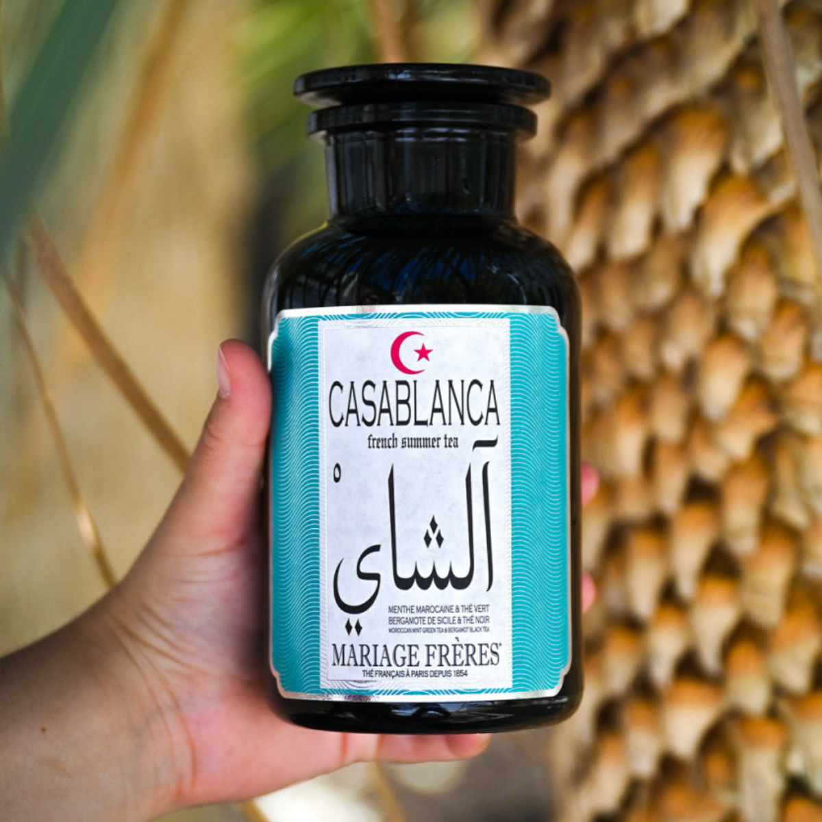 Casablanca® - Ice Tea