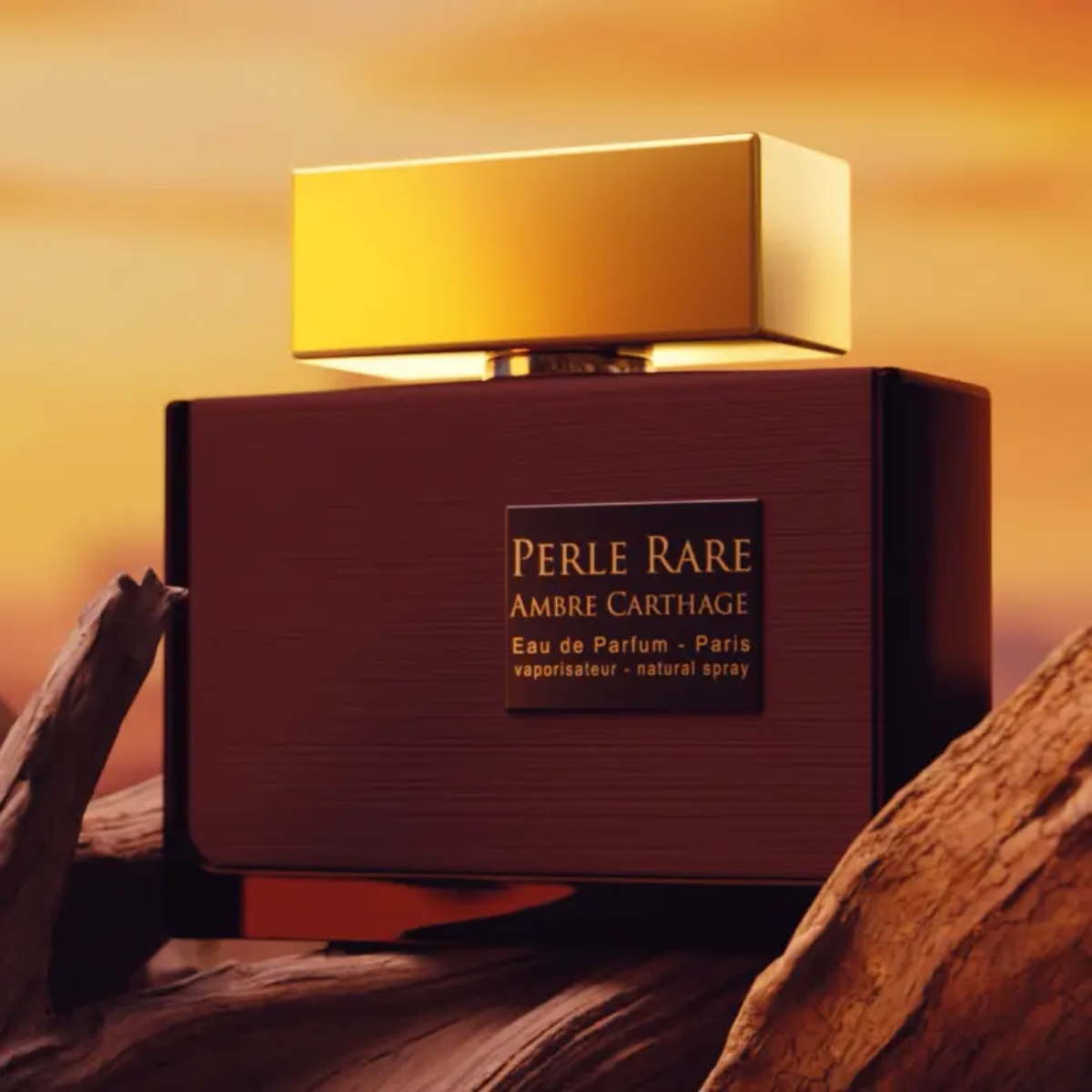Perle Rare Homme Ambre de Carthage Eau de Parfum