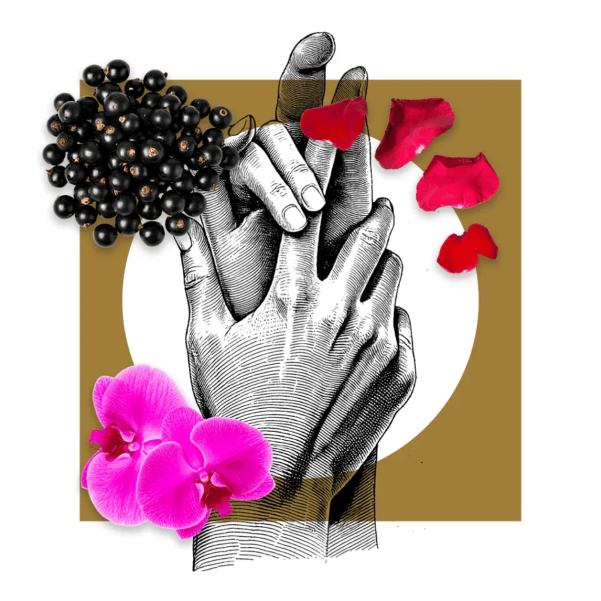 M Special Collection Extrait de Parfum