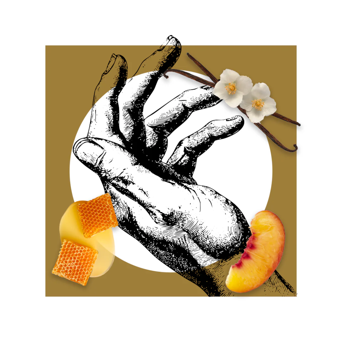 Annone Extrait de Parfum