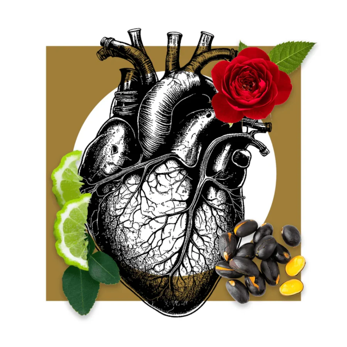 Notte D´Amore Extrait de Parfum