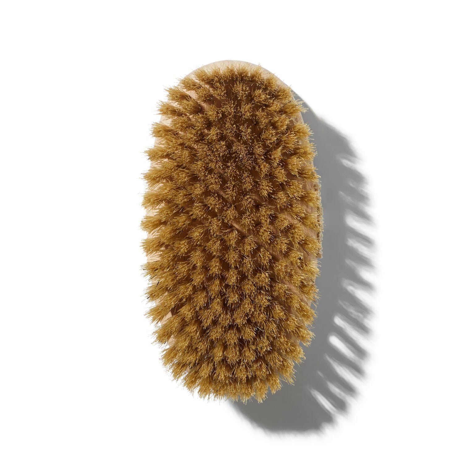 Body Brush Medium