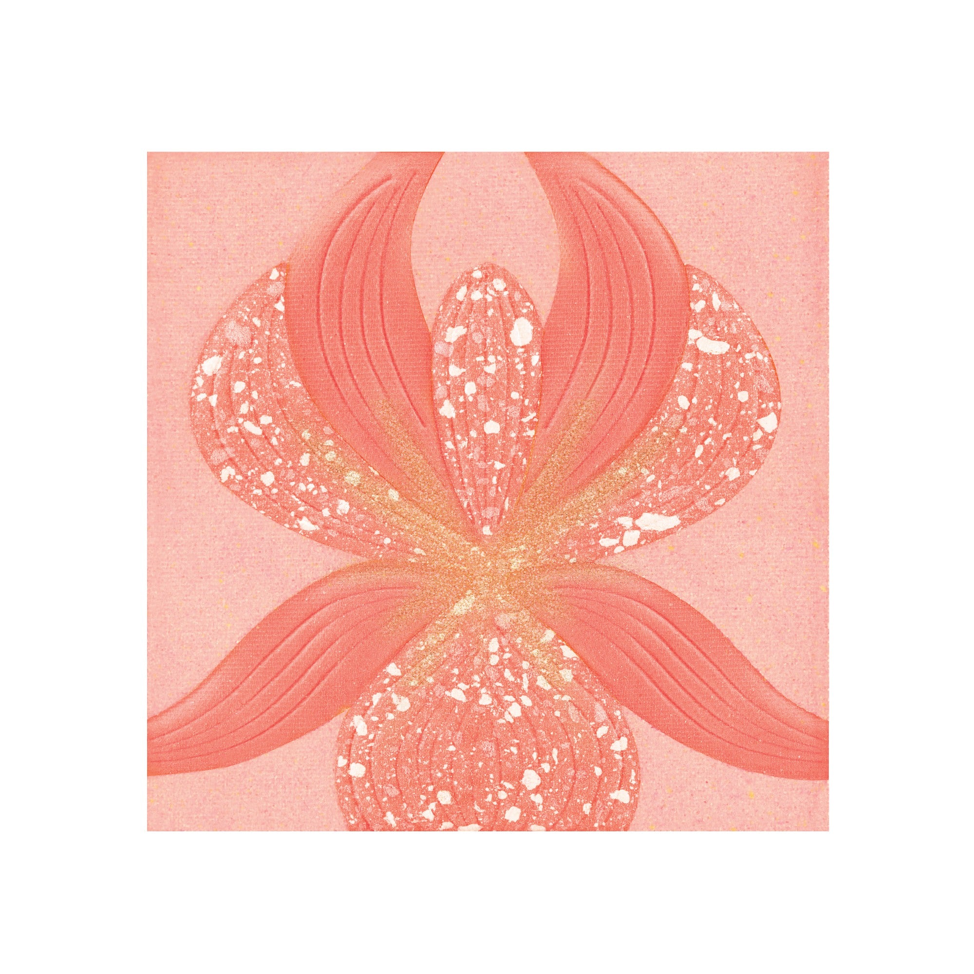 Highlighter Blush L Orchidée Corail