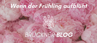 Floral Season – Wenn der Frühling aufblüht