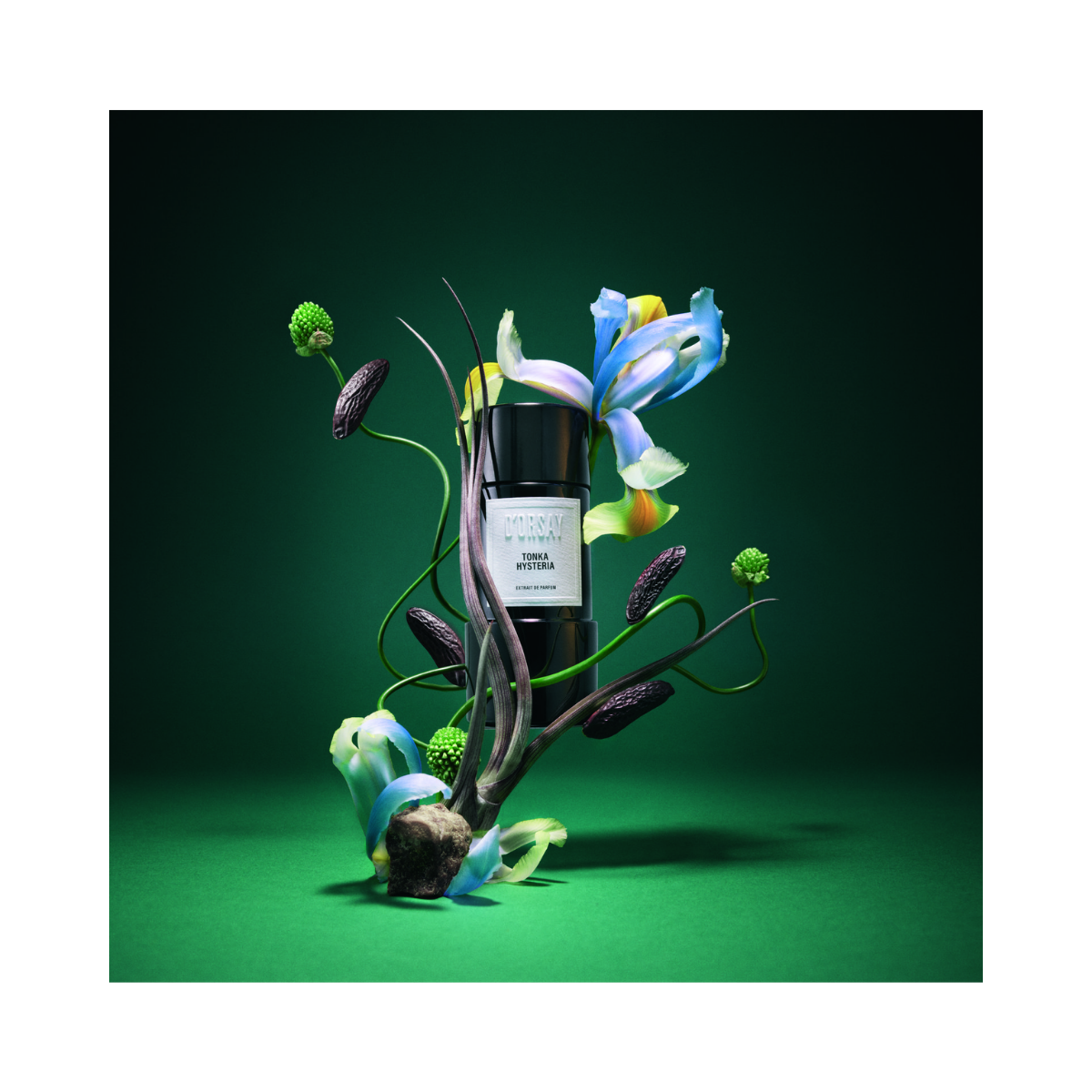 Tonka Hysteria Extrait de Parfum