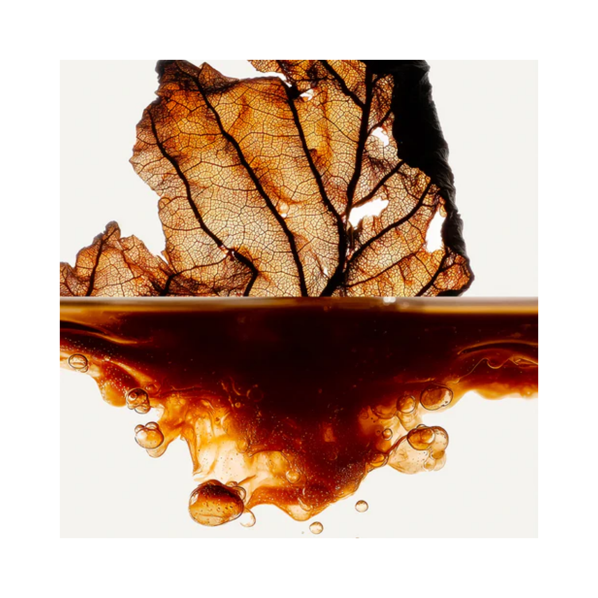 Tabac Extrait de Parfum