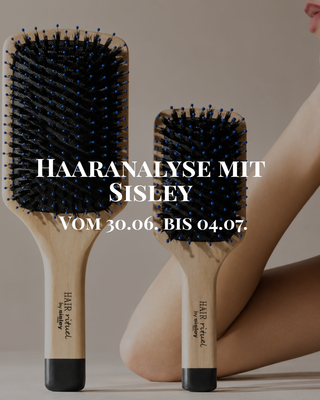 Sisley Haaranalyse bei Brückner am Rathaus