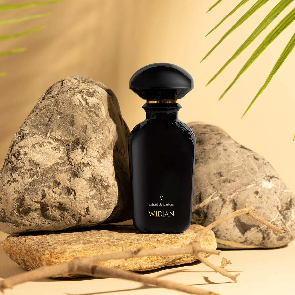 Black Collection V Eau de Parfum