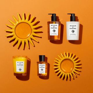Signatures of the Sun Cedro Virtuoso Hand & Body Wash