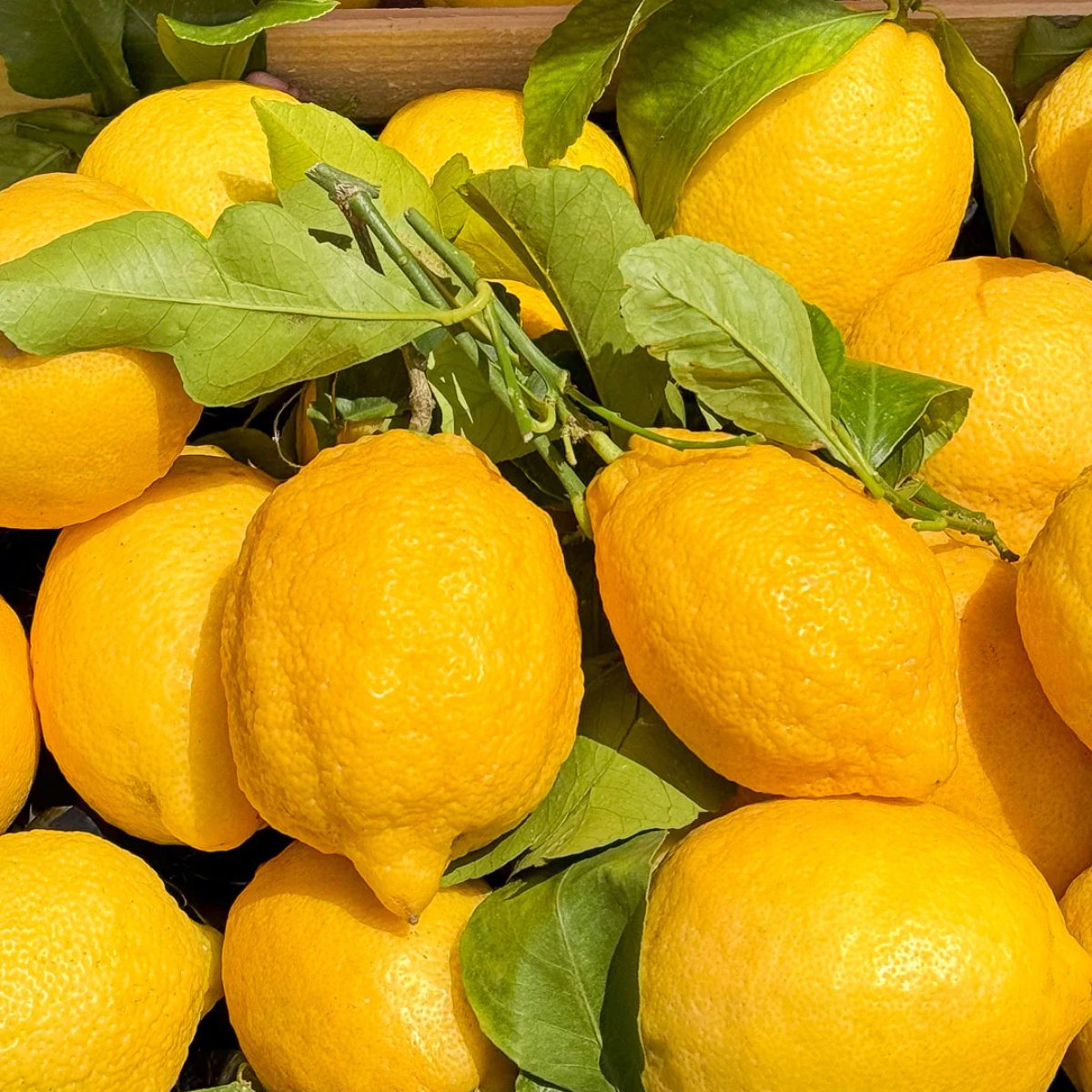 Citrus Riviera Eau de Parfum