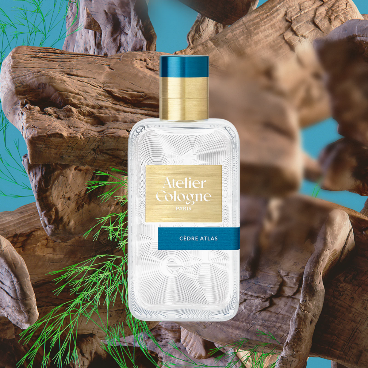 Cèdre Atlas Absolue Eau de Parfum