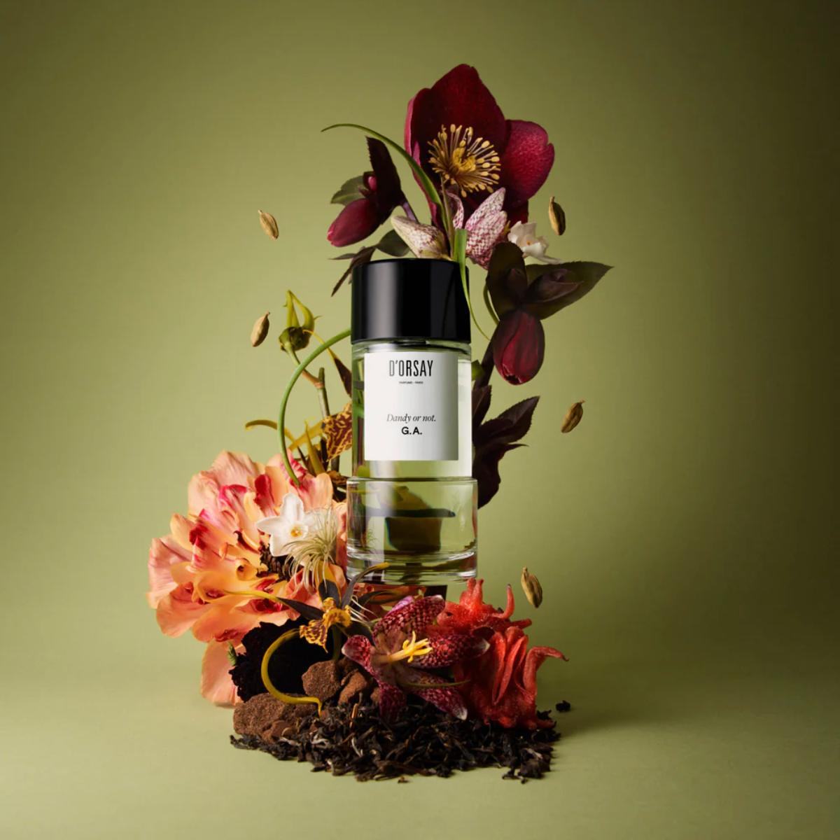 Dandy or Not Eau de Parfum