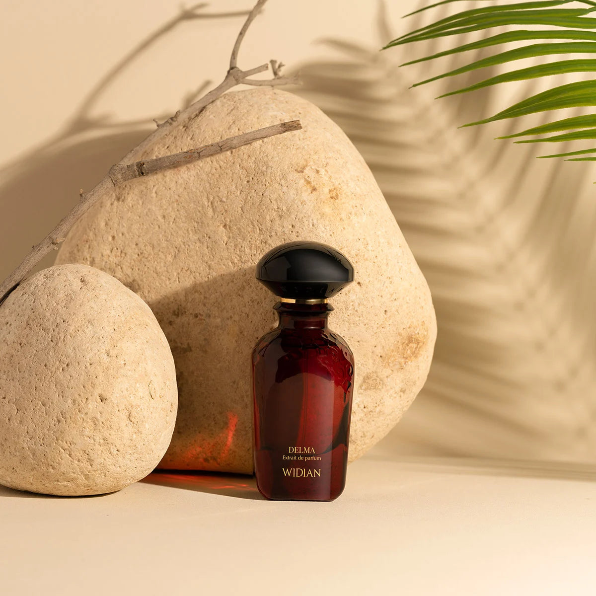 Velvet Collection Delma Parfum