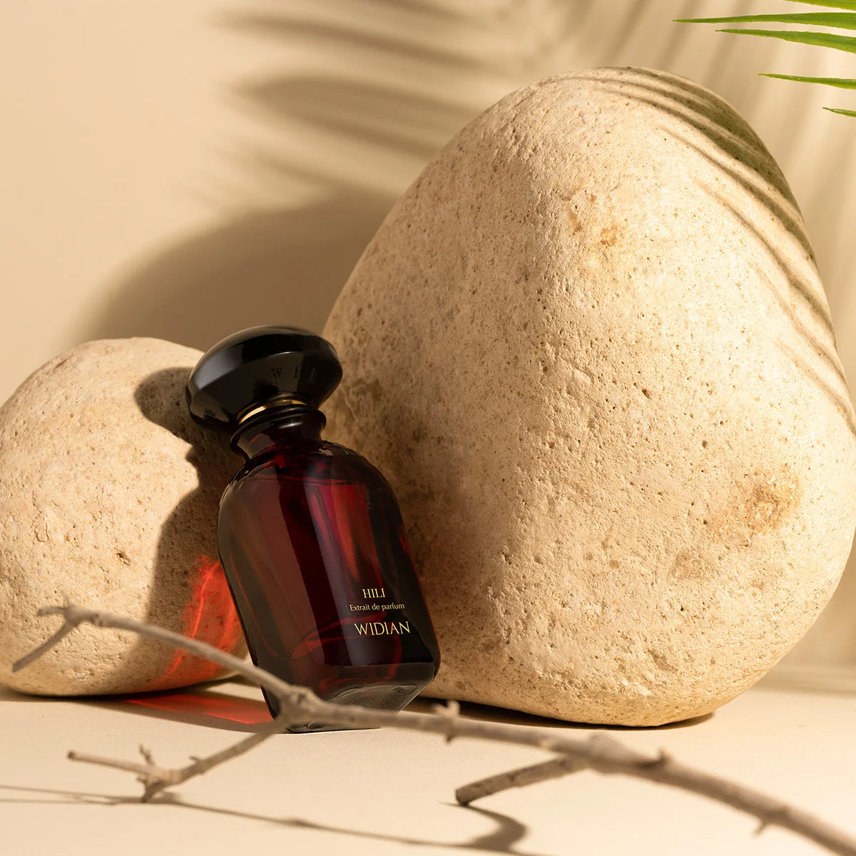 Velvet Collection Hili Parfum