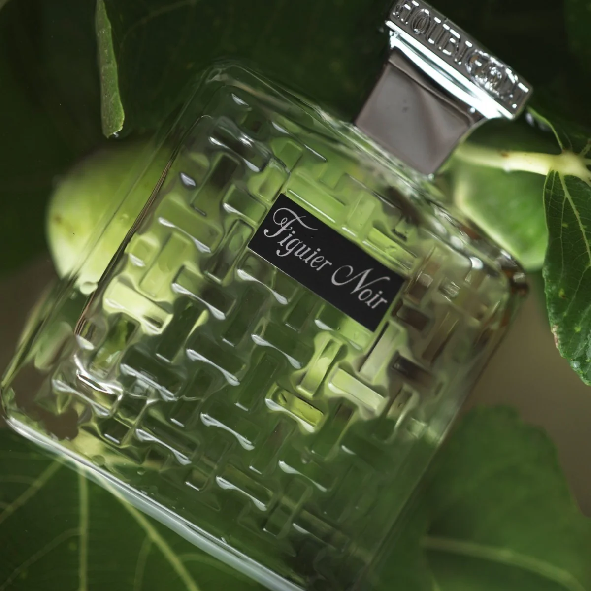 Figuer Noir Eau de Parfum