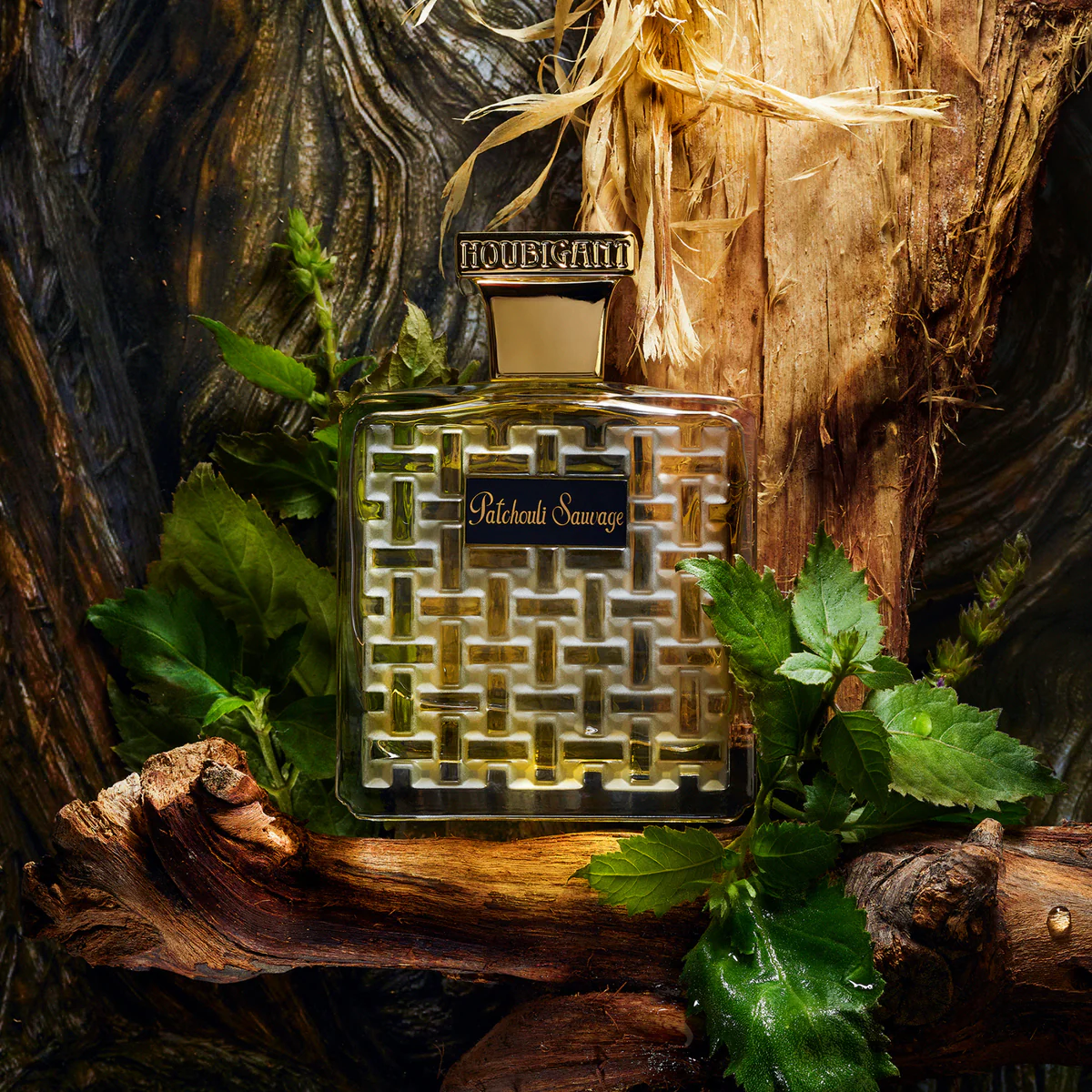 Patchouli Sauvage Collection Orientale Eau de Parfum