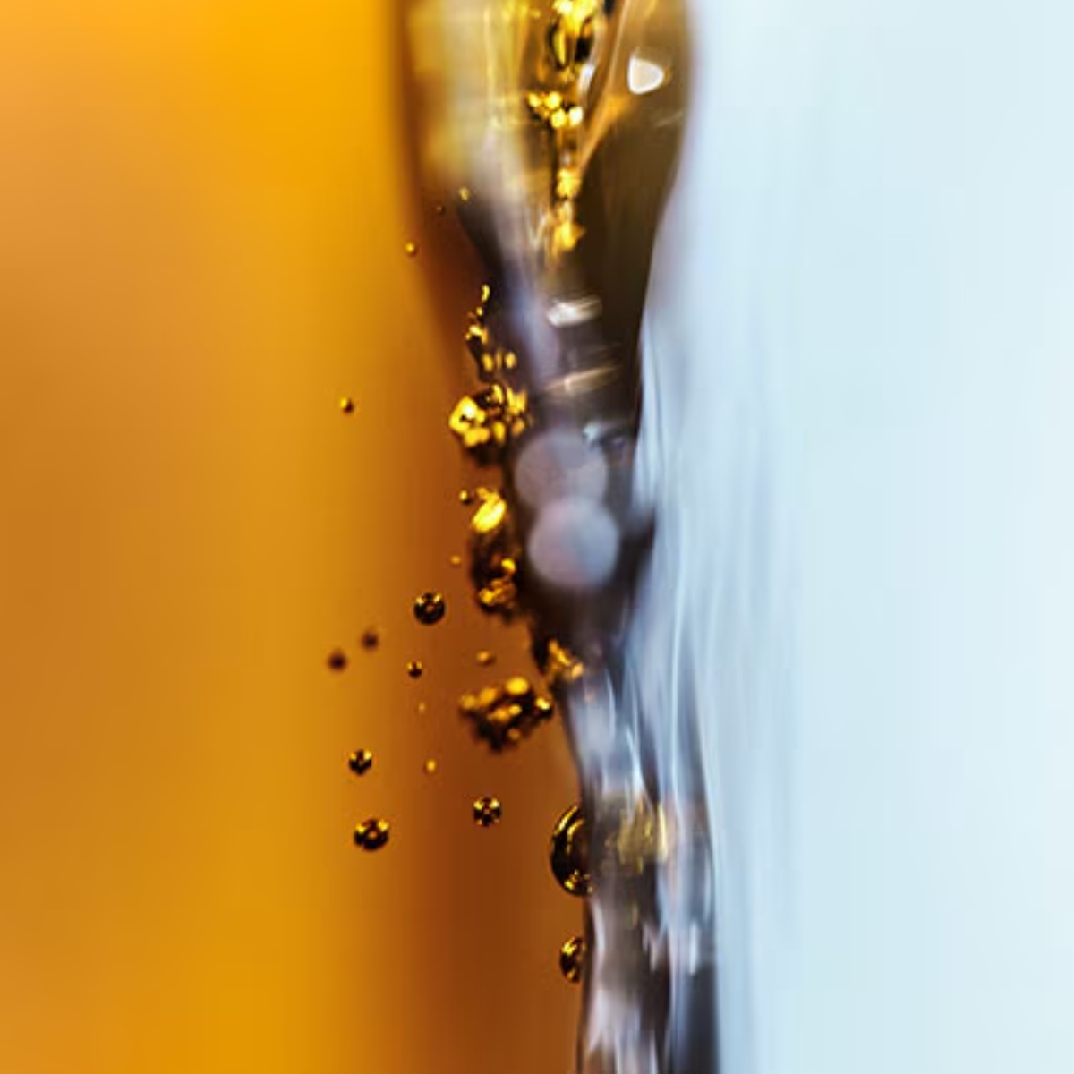 The Lip Treatment Petal