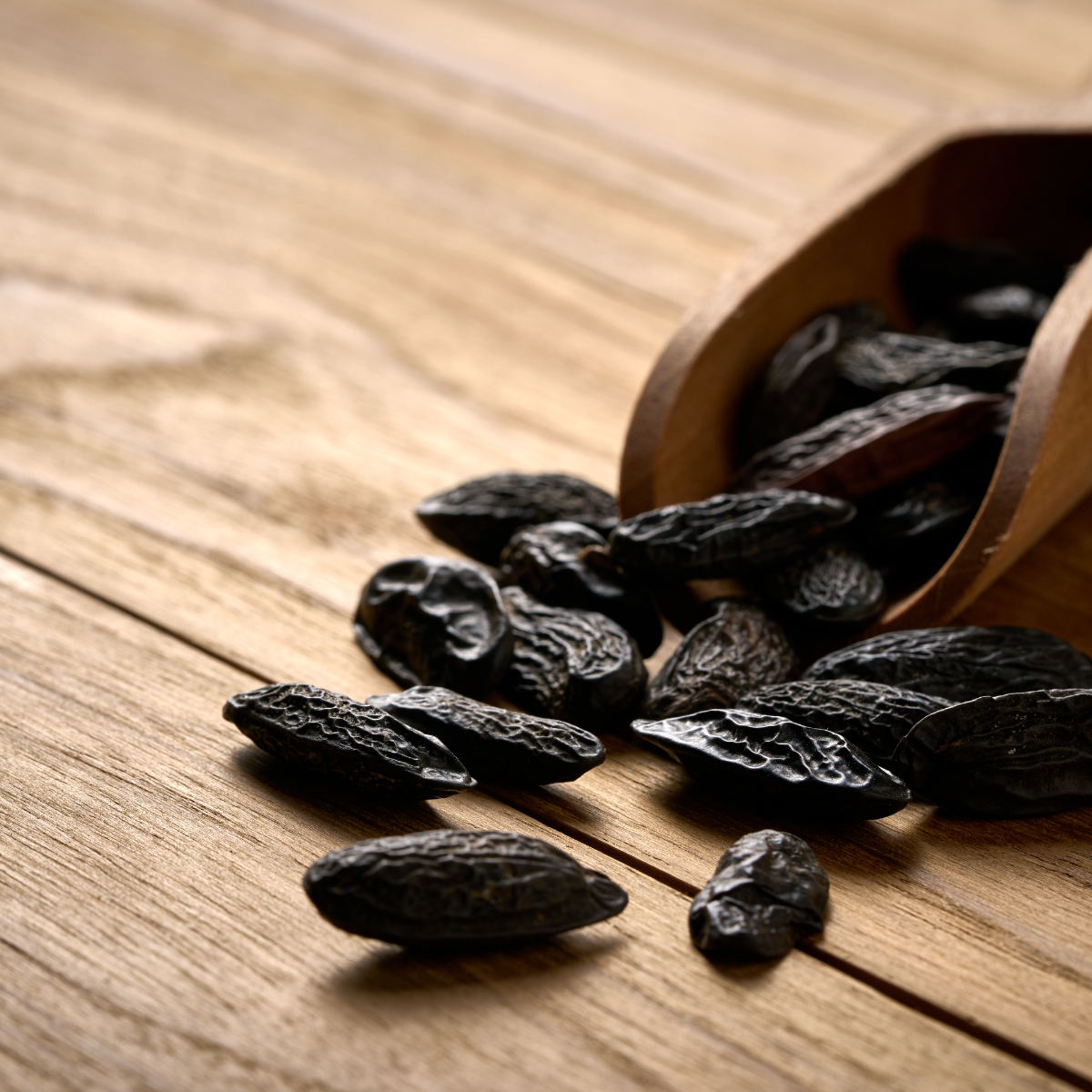 Tonka Rouge Eau de Parfum
