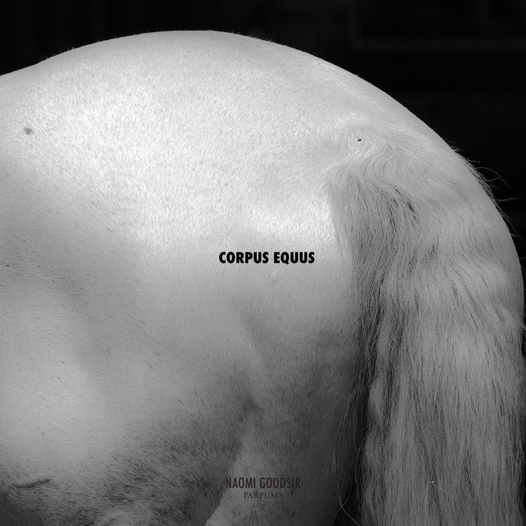 Corpus Equus Eau de Parfum