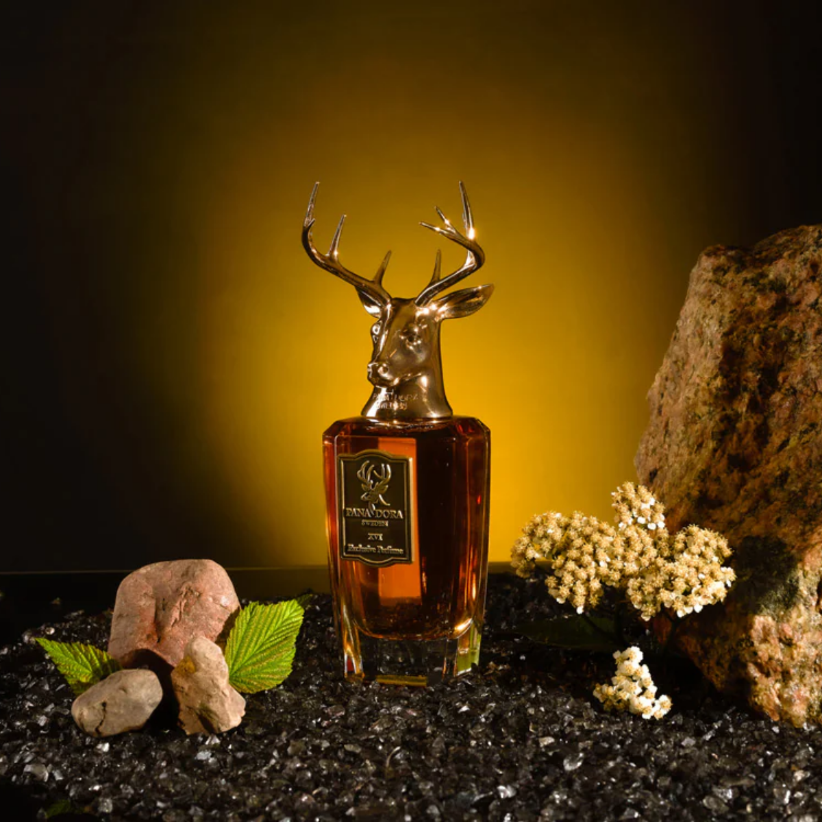 XVI Eau de Parfum
