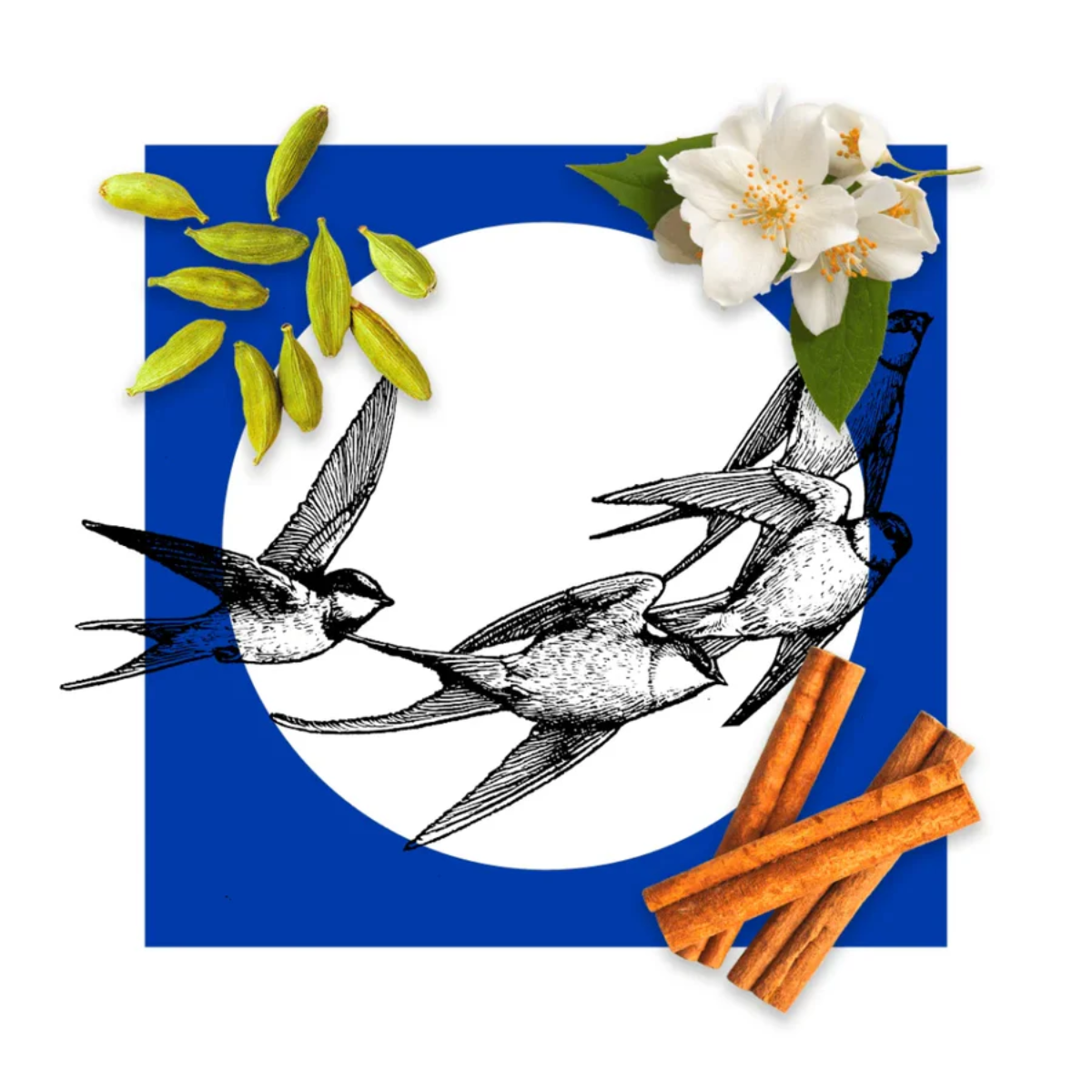 Cosi Blu Extrait de Parfum