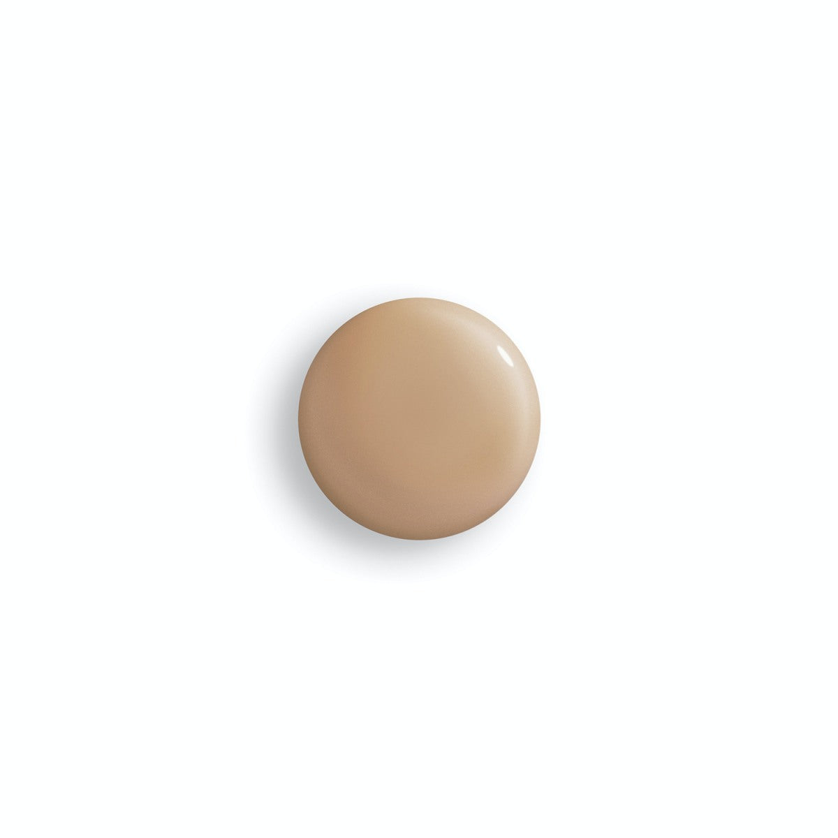 Phyto-Teint Perfection Pecan/5N