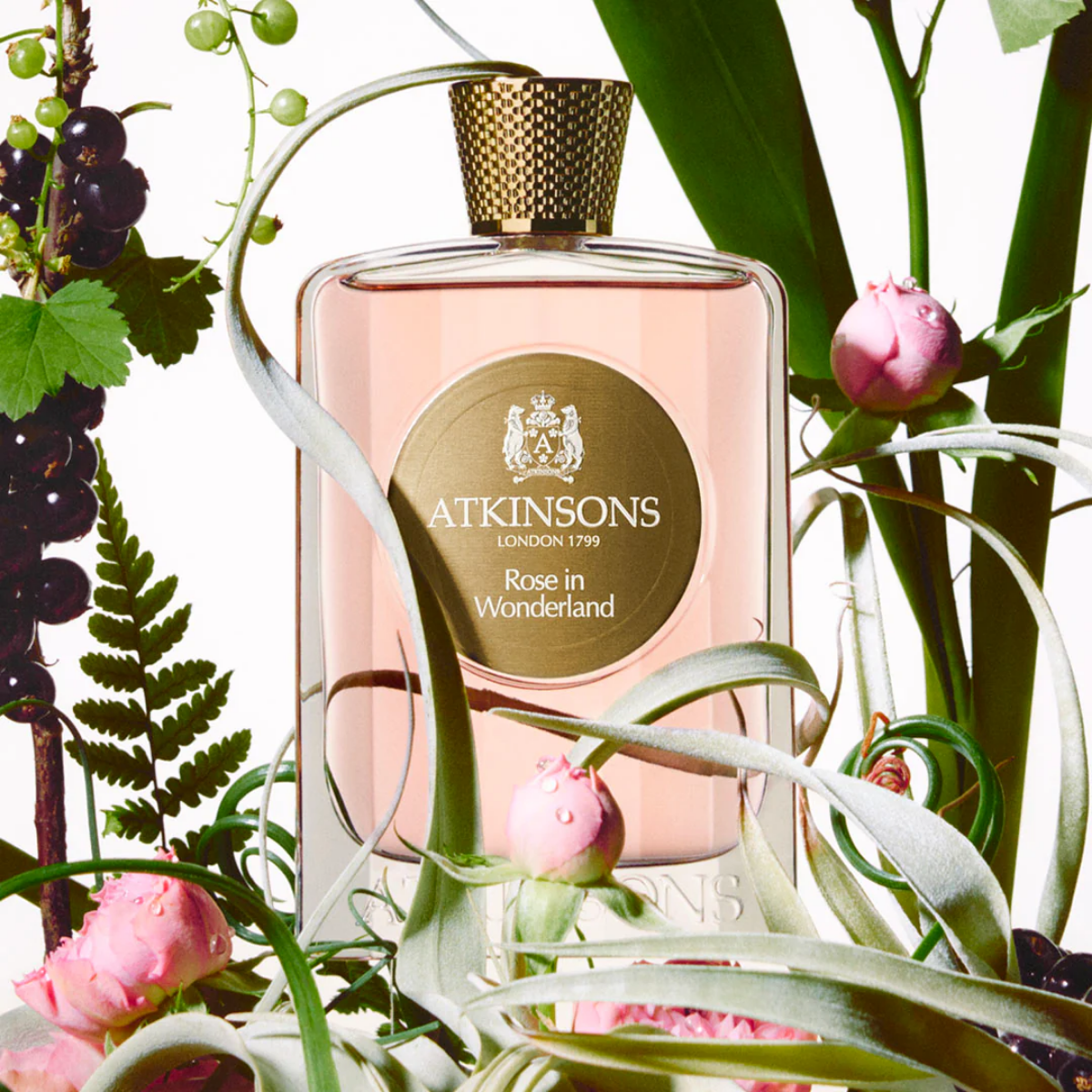 Rose in Wonderland Eau de Parfum