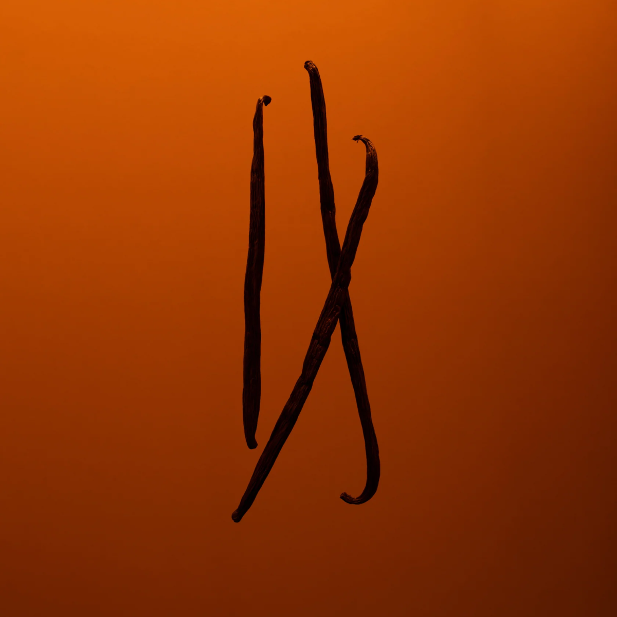 Vanille Leather Eau de Parfum