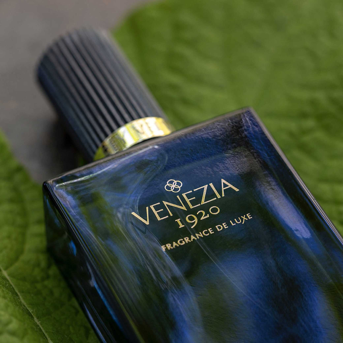 Grey Velvet Extrait de Parfum