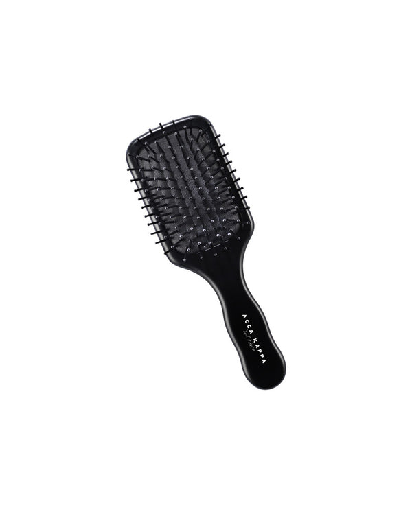 Every Day Use Paddle Brush Travel