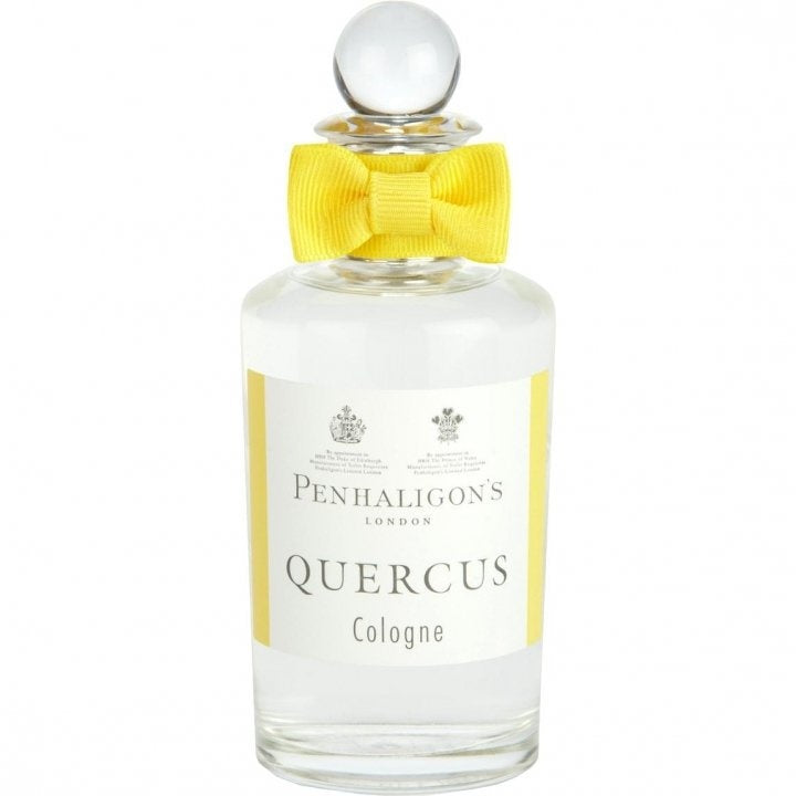 Quercus Cologne