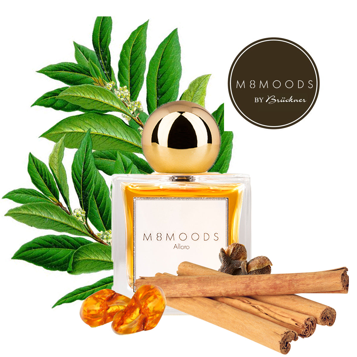 Alloro Eau de Parfum – Parfümerie Brückner GmbH 