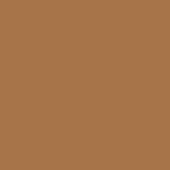 Rouge & Bronzing Bronzing Powder BP01 Natural Tan